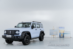 一秒卖出一台新车！坦克300的火爆，透露出什么现象？