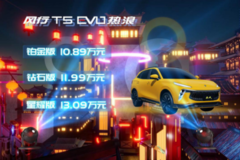 10.89万起，国风热血座驾风行T5 EVO热浪上市