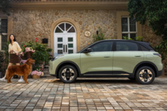 小车也有大市场：2025新能源小车“顶流”密码！