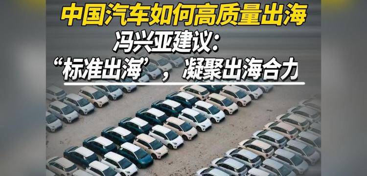 中国汽车如何高质量出海，冯兴亚建议：标准出海， 凝聚出海合力