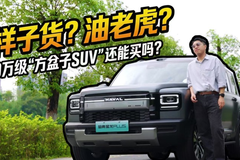 样子货？油老虎？20万级“方盒子SUV”还能买吗？