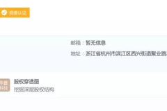 功夫汽车 · 独家丨郑杰李峰的新动向：一个做合伙人，一个转战IT？
