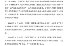 连董明珠都敢坑？！银隆新能源：原董事长、原总裁侵占逾10亿