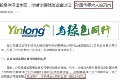 银隆内战：孙国华等被捕，魏银仓潜逃美国；但董明珠真的赢了吗？