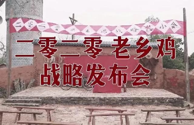 “鸡”的发布会，为什么“车”搞不了？