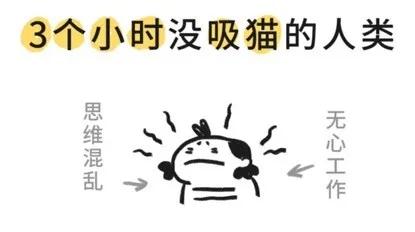 欧拉白猫：就差把“精品”二字写脸上了，还不快来“吸”我？
