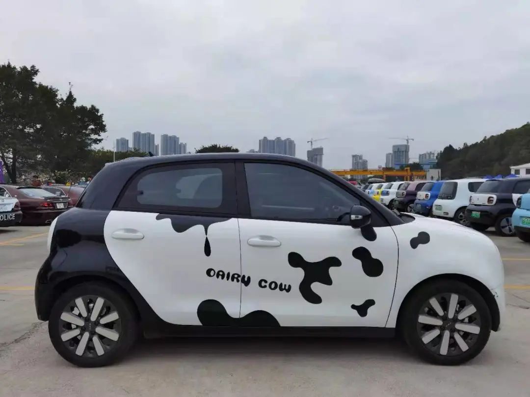 “好猫如虎”！欧拉不改，不如推下海